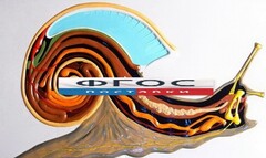 Модель барельефная "Внутреннее строение брюхоногого моллюска" - fgospostavki.ru - Рязань