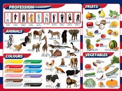 Стенд "Цвета, животные, профессии, фрукты, овощи" - fgospostavki.ru - Рязань