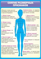 Стенд "Снятие мерок" Вариант 2 - fgospostavki.ru - Рязань