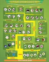 Стенд "Многообразие органического мира" - fgospostavki.ru - Рязань