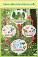 Стенд "Строение экосистемы" - fgospostavki.ru - Рязань