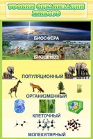 Стенд "Уровни организации живого" - fgospostavki.ru - Рязань