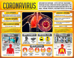 Плакат "Коронавирус" (вариант 2) - fgospostavki.ru - Рязань