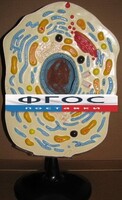 Модель "Клетка животного" - fgospostavki.ru - Рязань