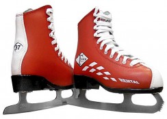 Зимний инвентарь - fgospostavki.ru - Рязань