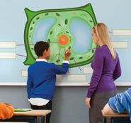 Интерактивное оборудование - fgospostavki.ru - Рязань