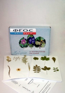 Гербарий "Морфология растений" (5 тем х 3 листа) - fgospostavki.ru - Рязань