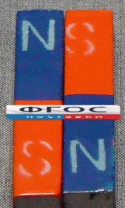 Магнит полосовой демонстрационный (пара) - fgospostavki.ru - Рязань