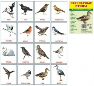 Раздаточные карточки "Перелетные птицы" - fgospostavki.ru - Рязань