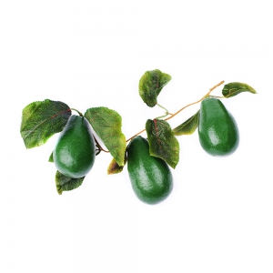 Ветка муляжей "Авокадо" - fgospostavki.ru - Рязань