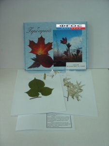 Гербарий "Медоносные растения" (24 вида) - fgospostavki.ru - Рязань