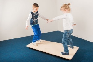 Балансировочная доска - fgospostavki.ru - Рязань