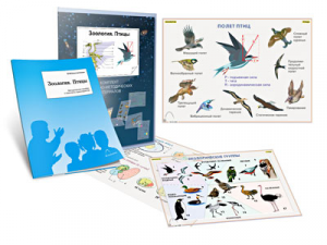 Комплект кодотранспарантов "Зоология. Птицы" - fgospostavki.ru - Рязань