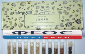 Коллекция "Семена к гербарию для начальной школы" (11 видов) - fgospostavki.ru - Рязань