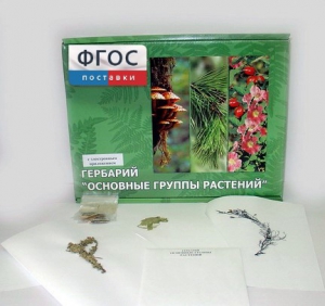 Гербарий "Основные группы растений" (52 листа) - fgospostavki.ru - Рязань