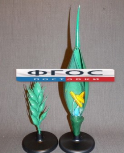 Модель "Цветок пшеницы" - fgospostavki.ru - Рязань