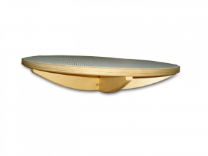 Балансир детский (круг) - fgospostavki.ru - Рязань