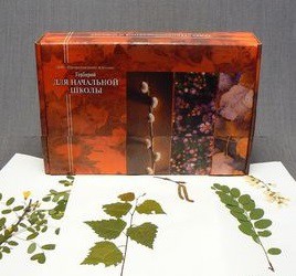Гербарий для Начальной школы (28 видов) - fgospostavki.ru - Рязань