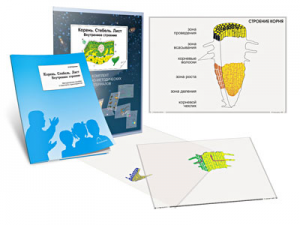 Комплект кодотранспарантов "Корень. Стебель. Лист (Внутреннее строение)" - fgospostavki.ru - Рязань