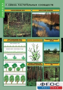 Комплект таблиц. Биология. Растения и окружающая среда. - fgospostavki.ru - Рязань