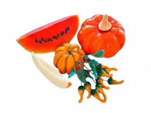 Набор муляжей "Бахчевые культуры" - fgospostavki.ru - Рязань