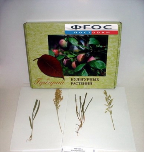 Гербарий "Культурные растения" (28 видов) - fgospostavki.ru - Рязань