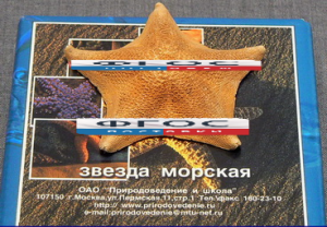 Сухой препарат "Звезда морская" - fgospostavki.ru - Рязань