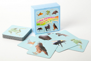 Набор магнитных карточек "Устный счет" (фон голубой) - fgospostavki.ru - Рязань