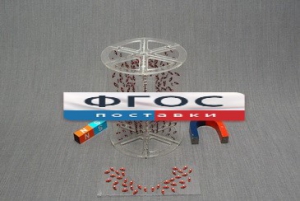 Модель для демонстрации в объеме линий магнитного поля - fgospostavki.ru - Рязань