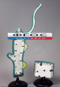 Модель "Гидра" - fgospostavki.ru - Рязань