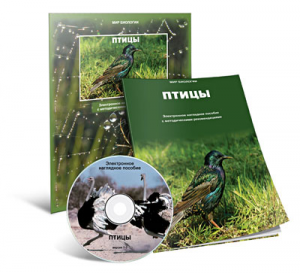 Электронное наглядное пособие «Птицы» - fgospostavki.ru - Рязань