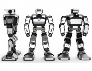 Образовательная платформа для обучения программирования гуманоидный робот Yanshee - fgospostavki.ru - Рязань