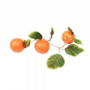 Ветка муляжей "Апельсины" - fgospostavki.ru - Рязань
