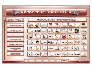 Трехсекционный базовый комплект "Травмы. Кровотечения. Ожоги" для учащихся общеобразовательных учреждений - fgospostavki.ru - Рязань