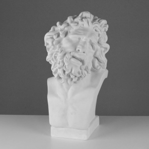 Бюст Лаокоона (гипс) - fgospostavki.ru - Рязань