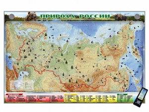 Электронно-информационный (маркерный) стенд "Природа России" адаптивный, с сенсорным пультом управления и планшетом со шрифтом Брайля - fgospostavki.ru - Рязань