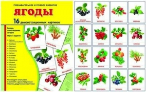 Демонстрационные карточки "Ягоды" - fgospostavki.ru - Рязань