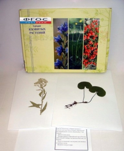Гербарий "Ядовитые растения" (20 видов) - fgospostavki.ru - Рязань