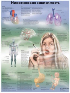 Плакат "Никотиновая зависимость" ламинированный - fgospostavki.ru - Рязань