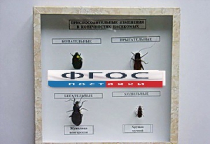 Коллекция энтомологическая "Приспособительные изменения в конечностях насекомых" - fgospostavki.ru - Рязань