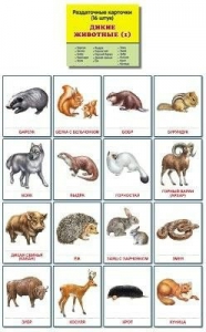 Раздаточные карточки "Дикие животные (1)" - fgospostavki.ru - Рязань