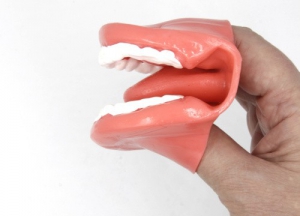 Муляж рта (мини) - fgospostavki.ru - Рязань