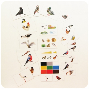 Набор магнитных карточек "Загадки-отрицания". Птицы - fgospostavki.ru - Рязань