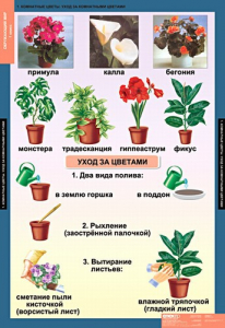 Комплект таблиц. Окружающий мир 1 класс. - fgospostavki.ru - Рязань