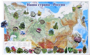 Магнитные карточки "Растения" - fgospostavki.ru - Рязань