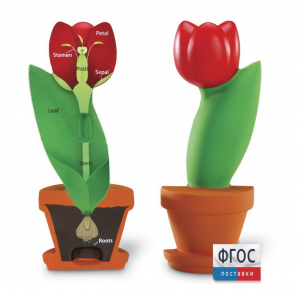 Модель цветка - fgospostavki.ru - Рязань