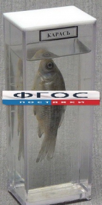 Влажный препарат "Карась" - fgospostavki.ru - Рязань