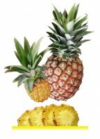 Комплект карточек "Запоминай, играй, считай" - Фрукты - fgospostavki.ru - Рязань