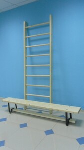 Стенка гимнастическая шведская премиум (1000х3200 мм) - fgospostavki.ru - Рязань