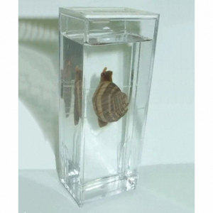 Влажный препарат "Виноградная улитка"	 - fgospostavki.ru - Рязань